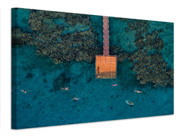 canvas-print-coral-escape-x