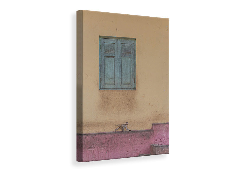 canvas-print-monkey-stroll