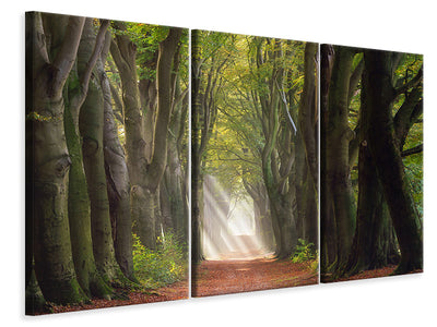 3-piece-canvas-print-a-glorious-day
