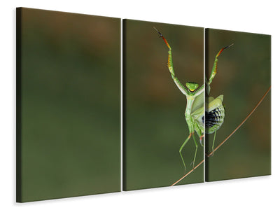 3-piece-canvas-print-are-you-gonna-dance-with-me
