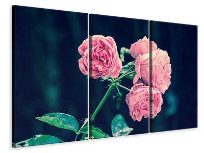 3-piece-canvas-print-beautiful-pink-roses