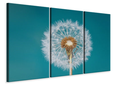 3-piece-canvas-print-dandelion-a