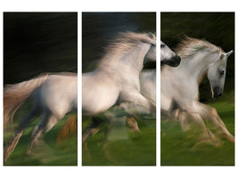 3-piece-canvas-print-gallop-for-two