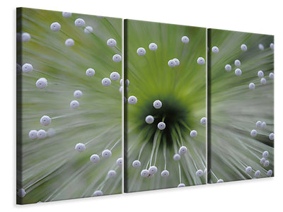 3-piece-canvas-print-green-and-white-ii