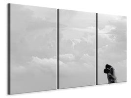 3-piece-canvas-print-in-the-clouds