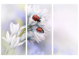 3-piece-canvas-print-ladybirds