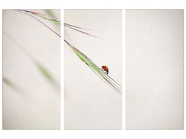 3-piece-canvas-print-ladybug