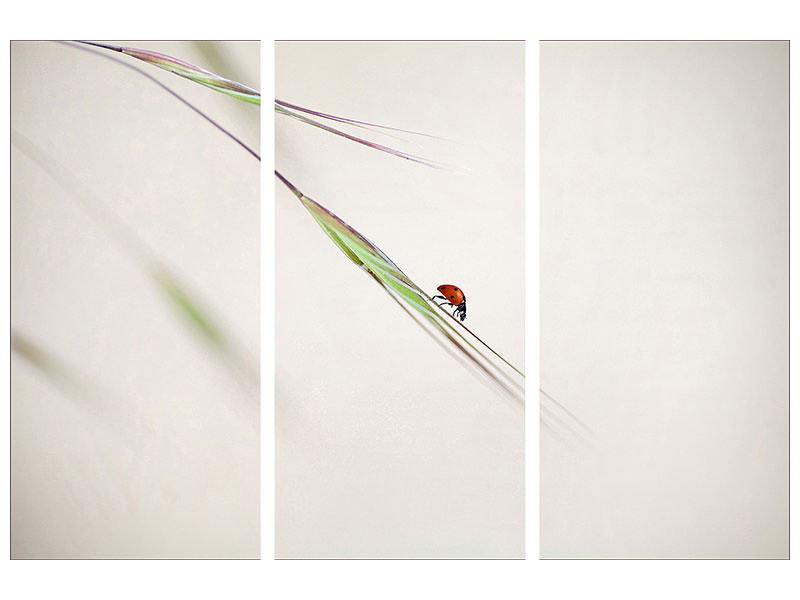 3-piece-canvas-print-ladybug