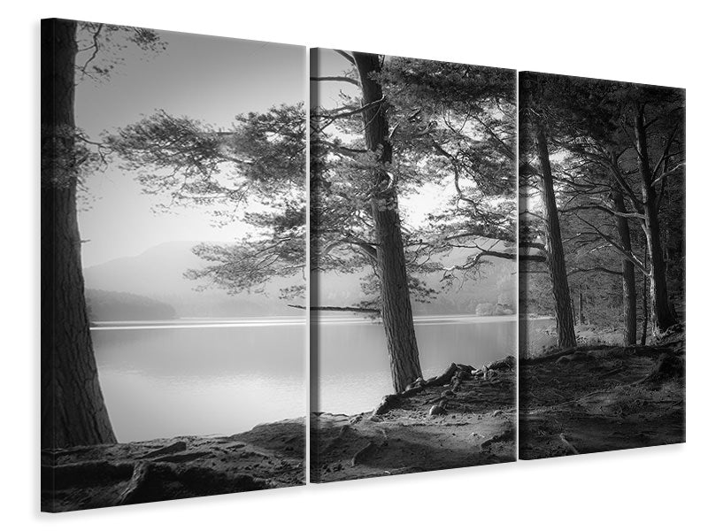 3-piece-canvas-print-loch-an-eilein