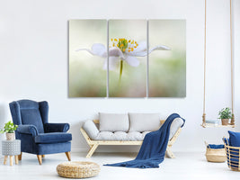 3-piece-canvas-print-nemorosa