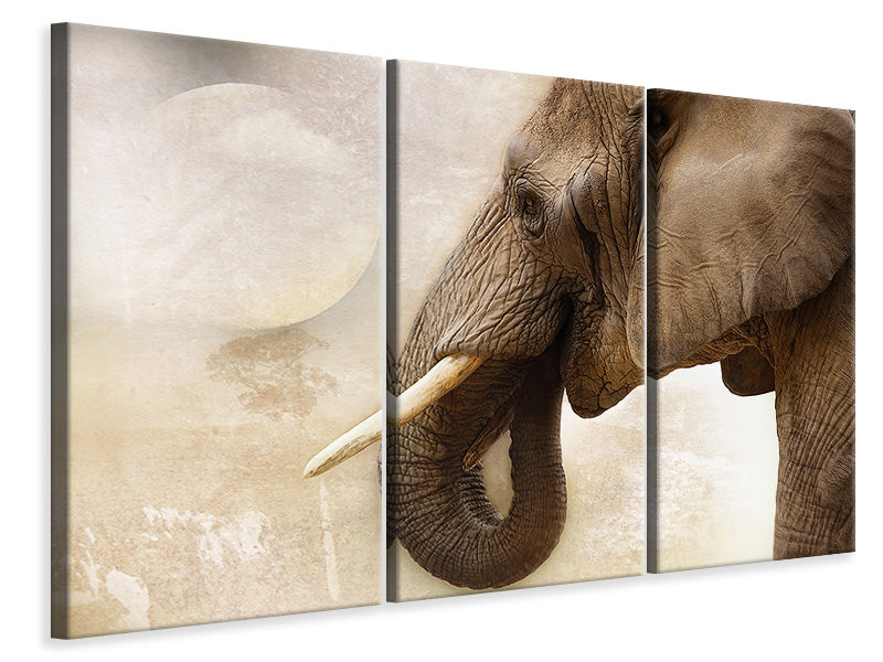 3-piece-canvas-print-portrait-of-an-elephant