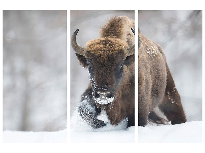 3-piece-canvas-print-rewilded