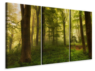 3-piece-canvas-print-the-little-tree