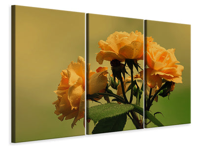 3-piece-canvas-print-the-roses-in-nature