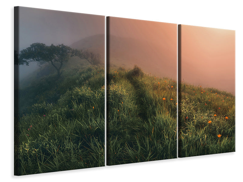 3-piece-canvas-print-the-story-of-the-foggy-morning