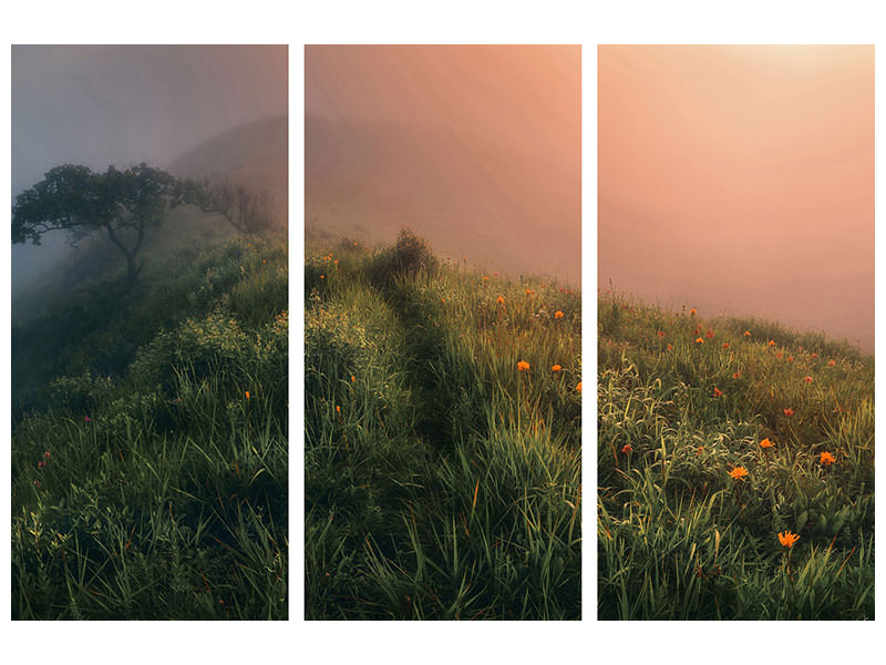 3-piece-canvas-print-the-story-of-the-foggy-morning
