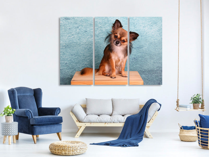 3-piece-canvas-print-typical-chihuahua