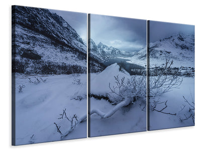 3-piece-canvas-print-winter-is-coming-a