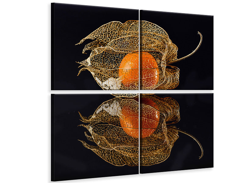 4-piece-canvas-print-physalis