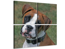 4-piece-canvas-print-play-with-me