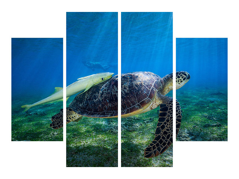 4-piece-canvas-print-sea-turtle