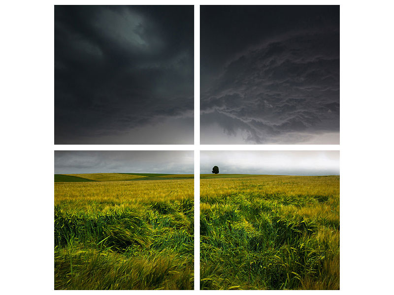 4-piece-canvas-print-sommergewitter