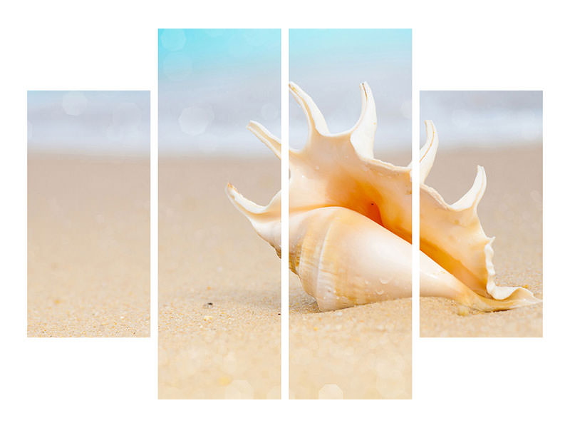 4-piece-canvas-print-the-shell-on-the-beach