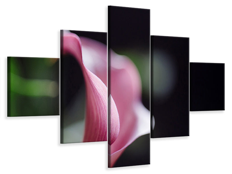 5-piece-canvas-print-calla-in-purple