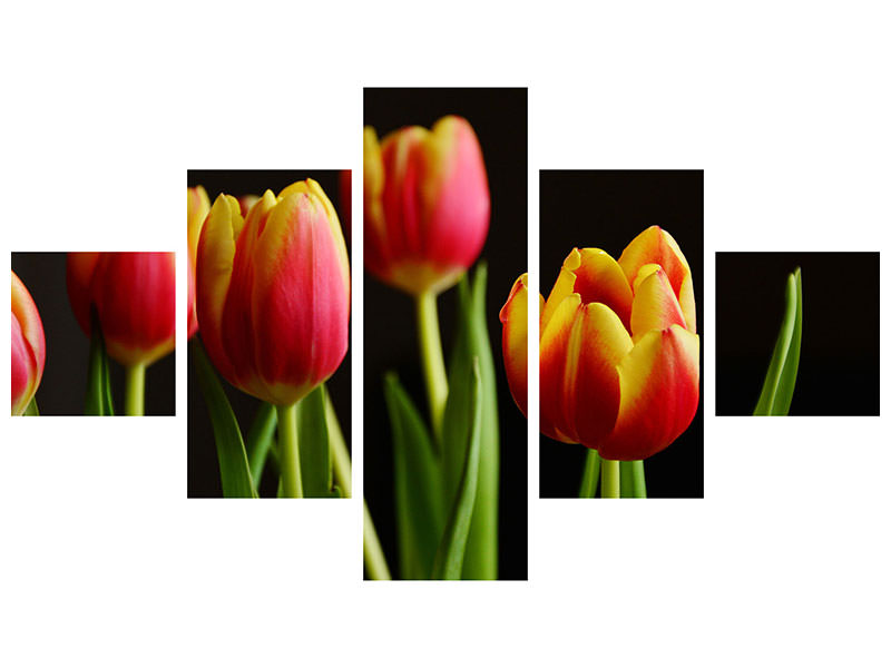 5-piece-canvas-print-colorful-tulips