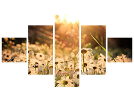 5-piece-canvas-print-daisies-at-sunset