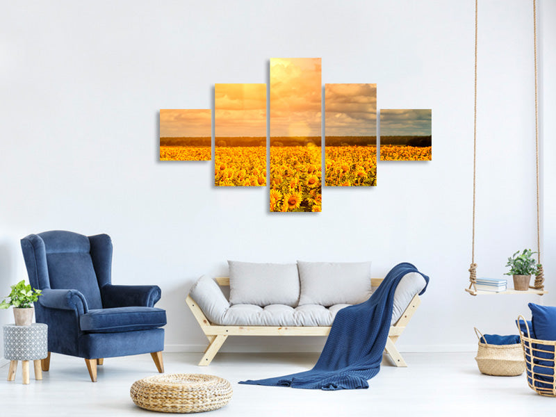 5-piece-canvas-print-golden-light-sunflower