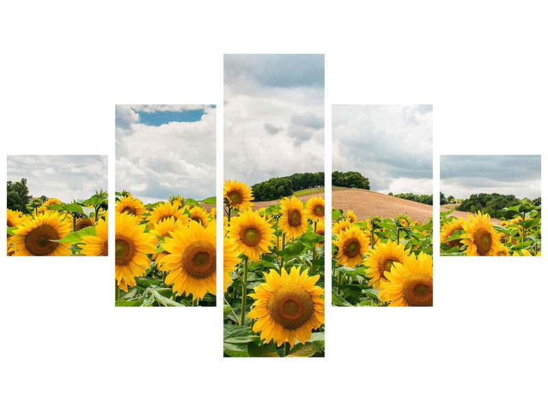 5-piece-canvas-print-landscape-with-sunflowers