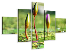 5-piece-canvas-print-water-lilies-in-xl