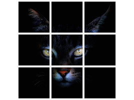 9-piece-canvas-print-cat