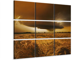 9-piece-canvas-print-spaetsommer-stimmung