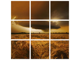 9-piece-canvas-print-spaetsommer-stimmung