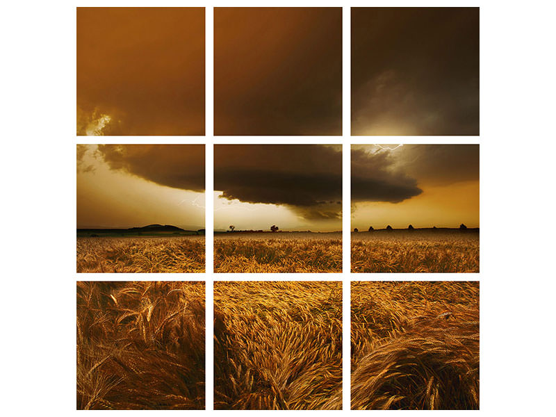 9-piece-canvas-print-spaetsommer-stimmung