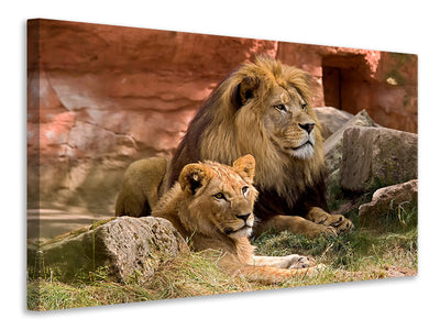 canvas-print-a-lion-couple