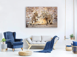 canvas-print-asiatic-lioness-x