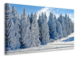 canvas-print-beautiful-winter-landscape
