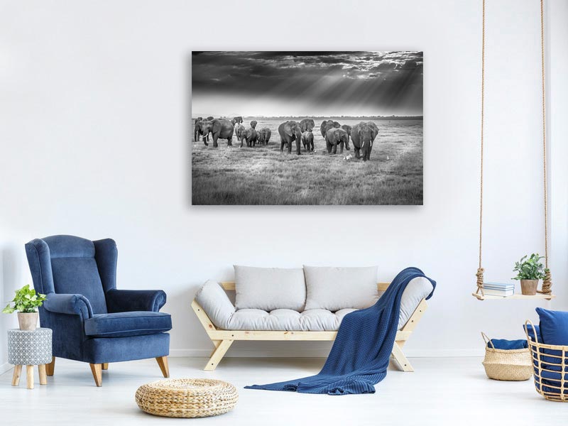 canvas-print-breakfast-with-pachyderms-x
