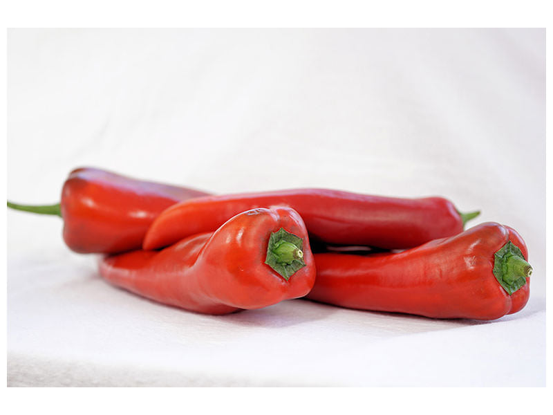 canvas-print-chilis