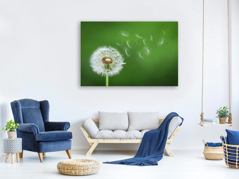 canvas-print-dandelion-blowing-x