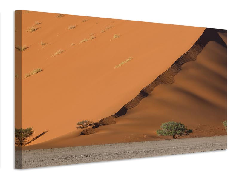 canvas-print-dune-y