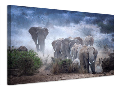 canvas-print-elephants-of-amboseli-x