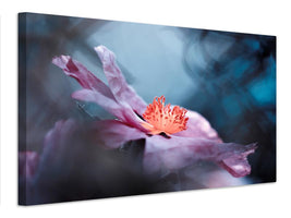 canvas-print-even-flowers-have-stories-to-tell-x