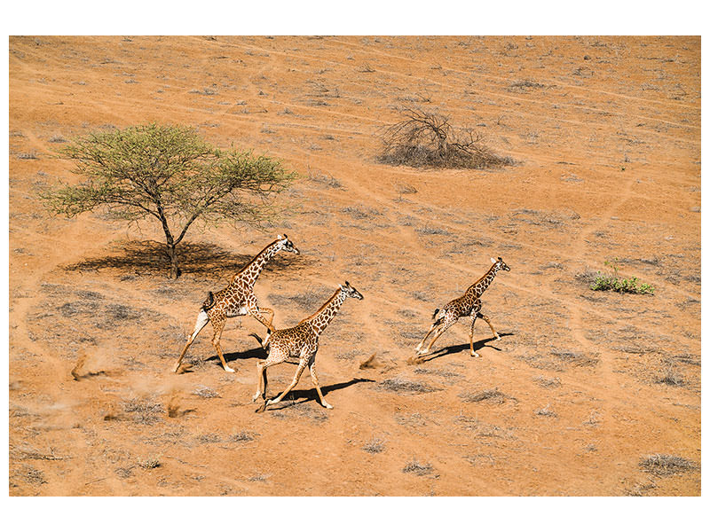 canvas-print-family-paradise