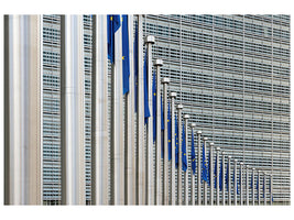 canvas-print-flag-parade