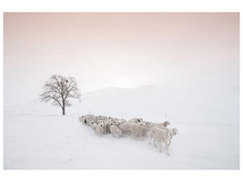 canvas-print-flock-looking-for-food-x