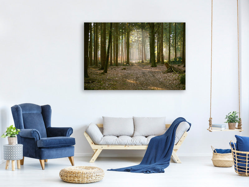 canvas-print-forest-run